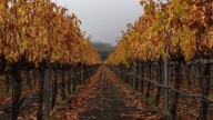Is today the first day of fall? More on autumnal equinox, time change
