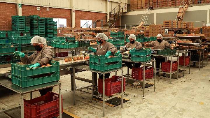 Sigue Puebla sin recuperar los puestos de trabajo remunerados que tenía antes de la pandemia