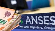 ANSES lanza una alerta para evitar caer en las estafas virtuales