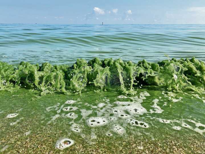 ‘M’m, m’m, gross!’ Campbell’s admits to turning Ohio’s Maumee River into toxic soup