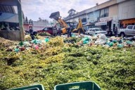 Pierde México 20.4 millones de tons de alimentos al año