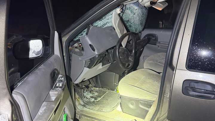 Dowagiac man injured in crash that killed cow