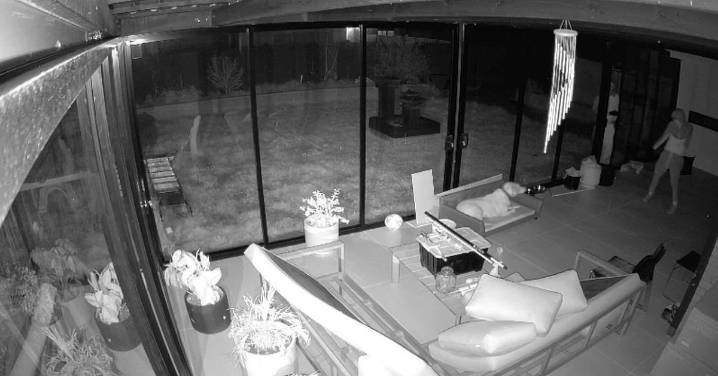 Melbourne: Dog hailed a hero after scaring off intruders from Melbourne home