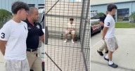 Estudiante de Florida detenido por la policía tras realizar preocupante consulta a ChatGPT