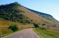 Muere atropellado en carretera de Namiquipa