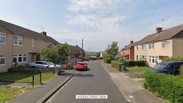 'Traumatised' girl, nine, 'shot with airgun' during racially aggravated assault
