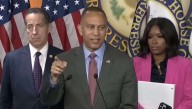 Democrats Condemn Violence They Incited