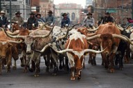 Stock show names Trans-West CEO Eidsness as ‘Citizen of the West’