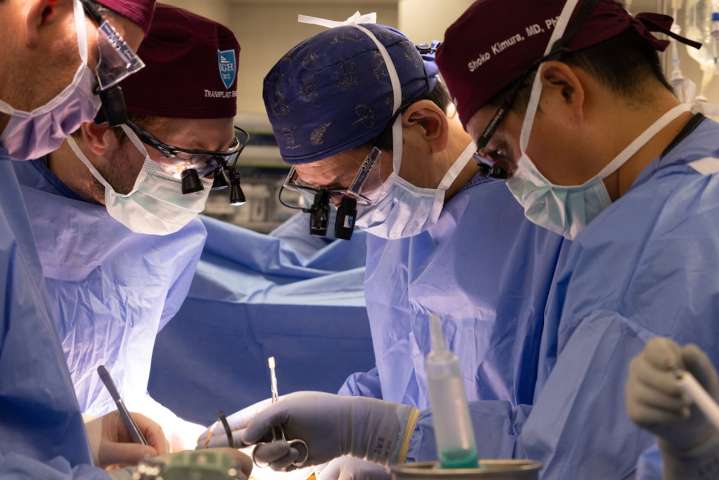N.H. man gets pig kidney transplant at Boston's Mass General; eGenesis to study xenotransplants