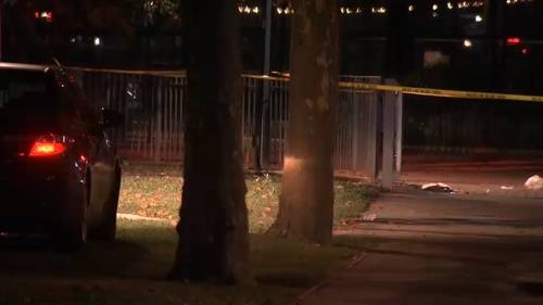 Man shot and killed in Queens park