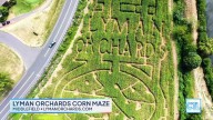 CT LIVE: Fall Activities at Lyman Orchards