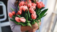 Conservá eternamente el color y vida de tus flores frescas con esta sencilla técnica para usarlas en todos tus proyectos