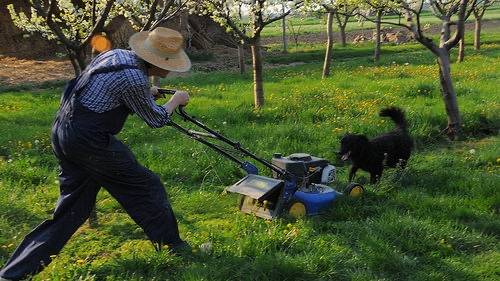 Winnipeg Man Eager to Mow the Lawn this December