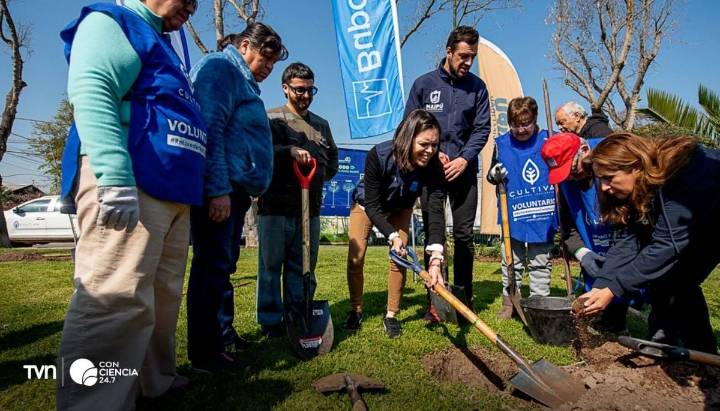 Plantación de árboles en Maipú busca combatir islas de calor y mejorar la salud comunitaria