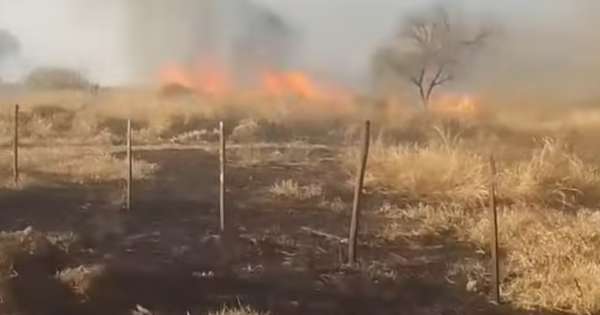 Alerta por viento Zonda y riesgo extremo de incendios en Salta: las zonas afectadas