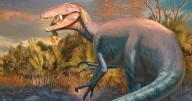 New dinosaur from Argentina discovered with a crocodile bone in its mouth