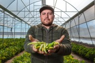 Agricultura impulsa a productores de pequeña escala con plan nacional