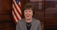 Sen. Collins question former CDC Director