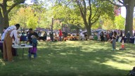 The Urban Agriculture Fair is ensuring communities have access to fresh, healthy food