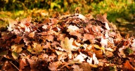 Exact date and time of autumn equinox and when the clocks go back