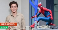 Tom Holland Rushed To The Hospital With A Head Injury After A Failed Spider