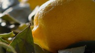 Lemon And Bay Leaves Have A Hidden Benefit For Your Home