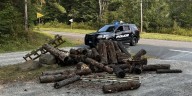 Police investigate hit-and-run that caused property damage
