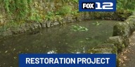 Portland’s Elk Rock Gardens getting new life with restoration