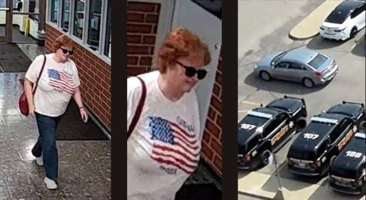 Macomb County Sheriff’s Office seeks help identifying vandal
