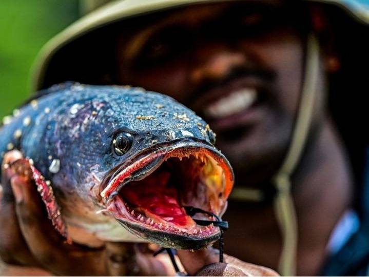 Sri Lanka tries to hook anglers on invasive fish species