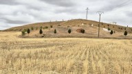 La cosecha del cereal en Castilla y León llega a récords históricos