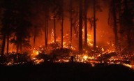 Labor Mtn. Fire Jumps By 2,000 Acres Ahead Of Worsening Weather