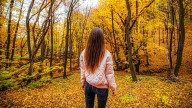 Labor Day marks the start of fall — here’s when the leaves will change where you live