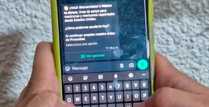Gobierno lanza ‘México te abraza’, línea de WhatsApp para apoyar a repatriados