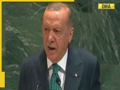 Turkey’s Erdogan calls for UN resolution on Kashmir, what should India do now?