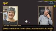 Gabriela Neme: “La reforma le permite a Insfrán seguir gobernando a discreción”