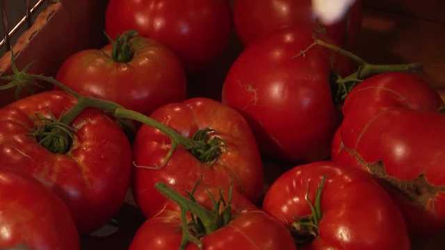 Project Hope works to solve increased food insecurity