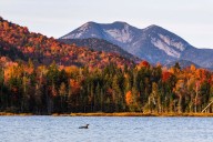 America’s best fall foliage spots revealed: See where the Adirondacks ranked