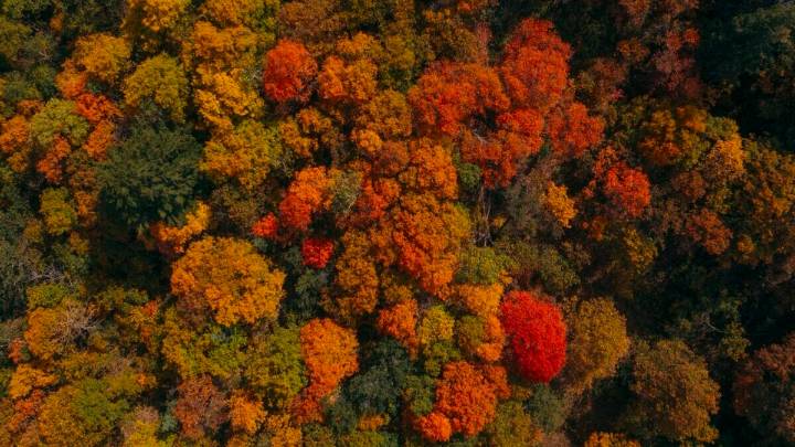 Autumn equinox kicked off fall yesterday. What's that mean?