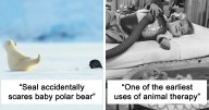“Tiny Units” Online Group Is Dedicated To Everything That Comes In Cute Sizes (50 Pics)