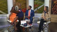 Anticipation sky-high as Chicago Bears kick off new season