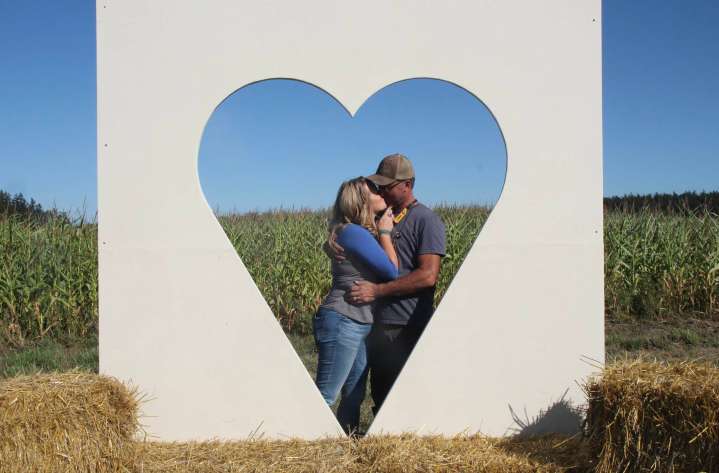 Whidbey corn maze will be a wonderland