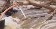 Abbott signs summer camp safety bills after deadly Kerrville flood