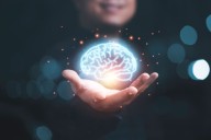 Estudio revela a qué edad funciona mejor el cerebro y los hábitos para potenciar la concentración