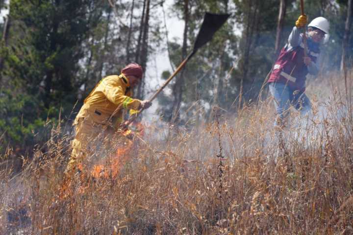 Serfor refuerza acciones para prevenir los incendios forestales en Ucayali