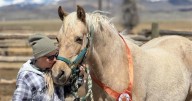 Horse breeder ordered to pay ASPCA restitution in Madison County horse neglect case