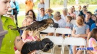 Gulf Coast Nature Expo set for new location
