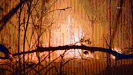Fires erupt in Sepulveda Basin 1 day after debris, encampment removals