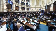 Diputados aprobó la ley que reglamenta la actividad de los acompañantes terapéuticos