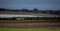 El Gobierno aprueba la próxima semana 28,5 millones de euros para la renaturalización del entorno de Doñana